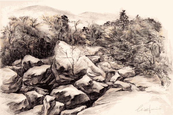 圆梦艺考美术培训